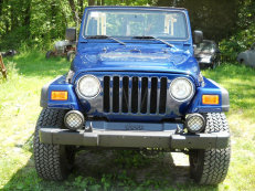 sealesrestoration006005.jpg